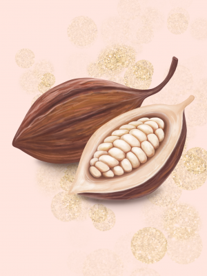 Online Programm Sacred Cacao